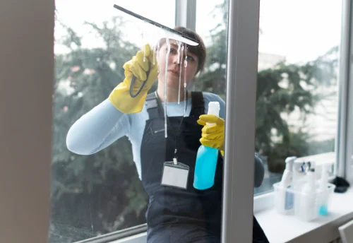 Nettoyage de vitres intérieures et extérieures à Ignol